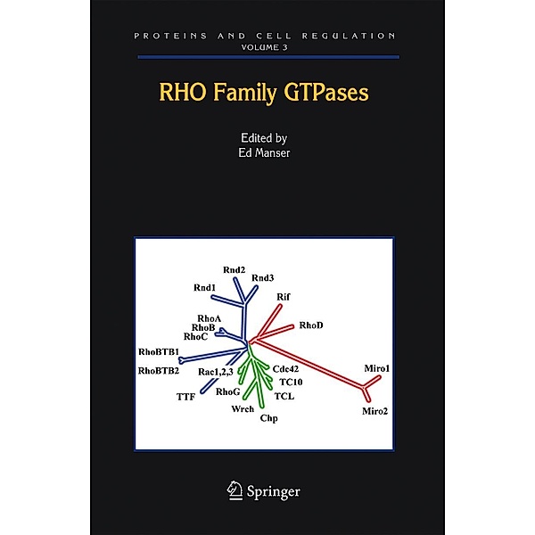 Rho Family GTPases