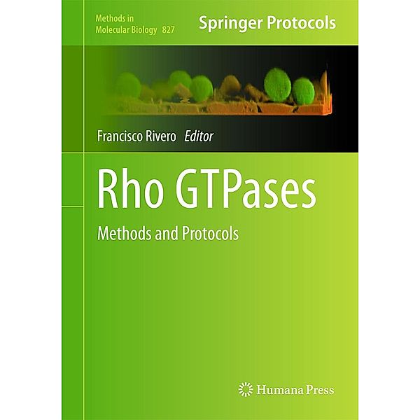 Rho GTPases / Methods in Molecular Biology Bd.827