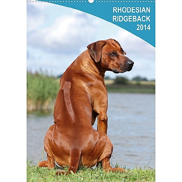 Rhodesian Ridgeback 2014 (Wandkalender 2014 DIN A2 hoch), JOHN N.Y. EDITION