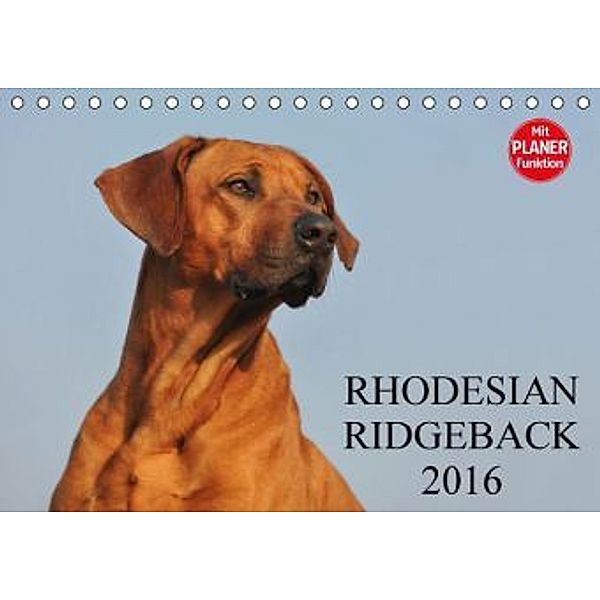 Rhodesian Ridgeback 2016 (Tischkalender 2016 DIN A5 quer), Sigrid Starick