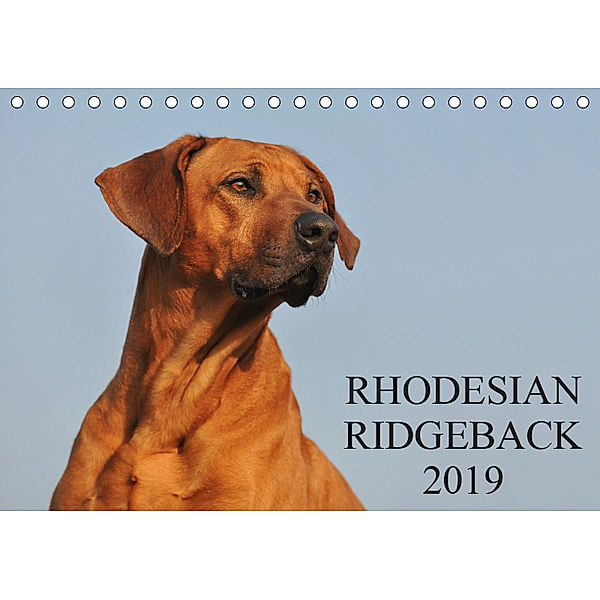 Rhodesian Ridgeback 2019 (Tischkalender 2019 DIN A5 quer), Sigrid Starick