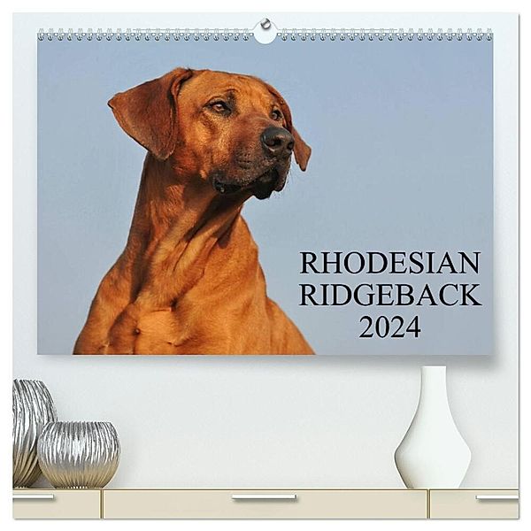 Rhodesian Ridgeback 2024 (hochwertiger Premium Wandkalender 2024 DIN A2 quer), Kunstdruck in Hochglanz, Sigrid Starick