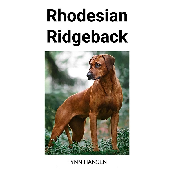 Rhodesian Ridgeback, Fynn Hansen