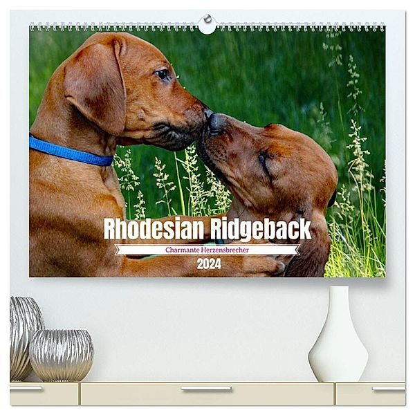 Rhodesian Ridgeback, Charmante Herzensbrecher (hochwertiger Premium Wandkalender 2024 DIN A2 quer), Kunstdruck in Hochglanz, Dagmar Behrens