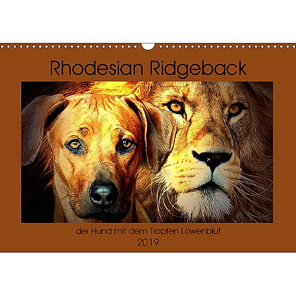Rhodesian Ridgeback - der Hund mit dem Tropfen Löwenblut (Wandkalender 2019 DIN A3 quer), Dagmar Behrens