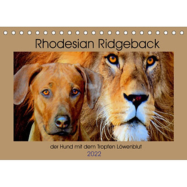 Rhodesian Ridgeback der Hund mit dem Tropfen Löwenblut (Tischkalender 2022 DIN A5 quer), Dagmar Behrens