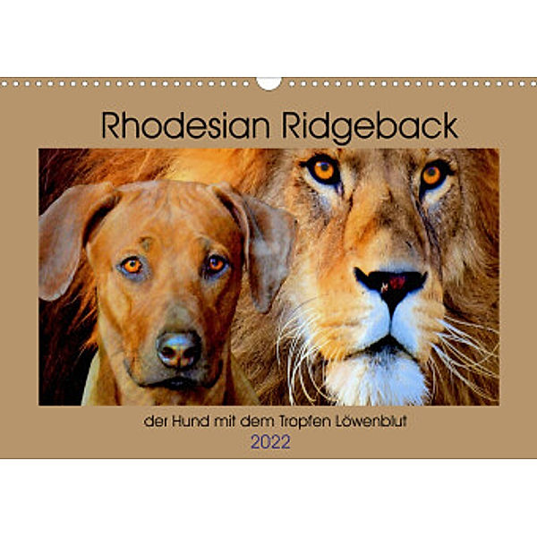 Rhodesian Ridgeback der Hund mit dem Tropfen Löwenblut (Wandkalender 2022 DIN A3 quer), Dagmar Behrens