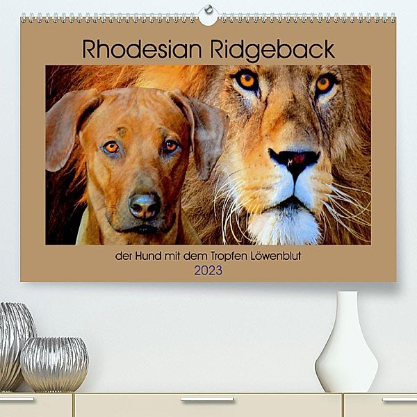 Rhodesian Ridgeback der Hund mit dem Tropfen Löwenblut (Premium, hochwertiger DIN A2 Wandkalender 2023, Kunstdruck in Ho, Dagmar Behrens