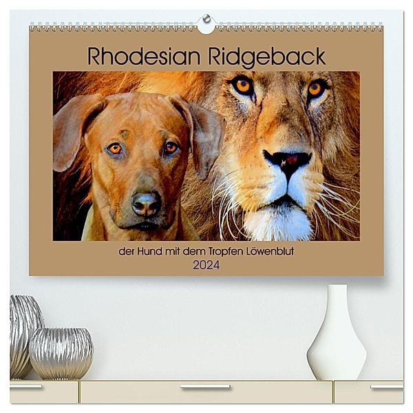 Rhodesian Ridgeback der Hund mit dem Tropfen Löwenblut (hochwertiger Premium Wandkalender 2024 DIN A2 quer), Kunstdruck in Hochglanz, Dagmar Behrens