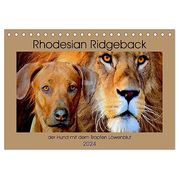 Rhodesian Ridgeback der Hund mit dem Tropfen Löwenblut (Tischkalender 2024 DIN A5 quer), CALVENDO Monatskalender, Dagmar Behrens
