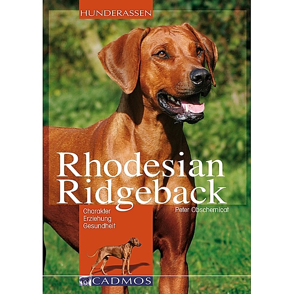 Rhodesian Ridgeback / Hunderassen, Peter Obschernicat
