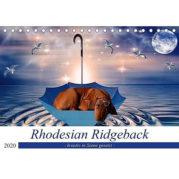 Rhodesian Ridgeback - kreativ in Szene gesetzt - (Tischkalender 2020 DIN A5 quer), Dagmar Behrens