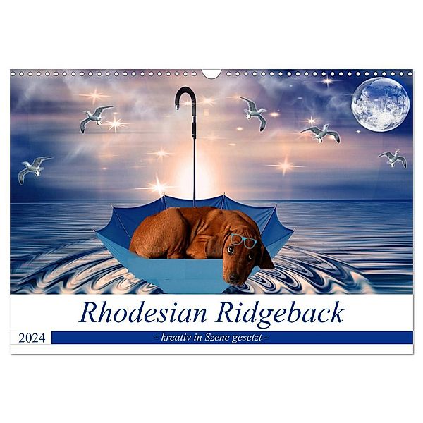 Rhodesian Ridgeback - kreativ in Szene gesetzt - (Wandkalender 2024 DIN A3 quer), CALVENDO Monatskalender, Dagmar Behrens