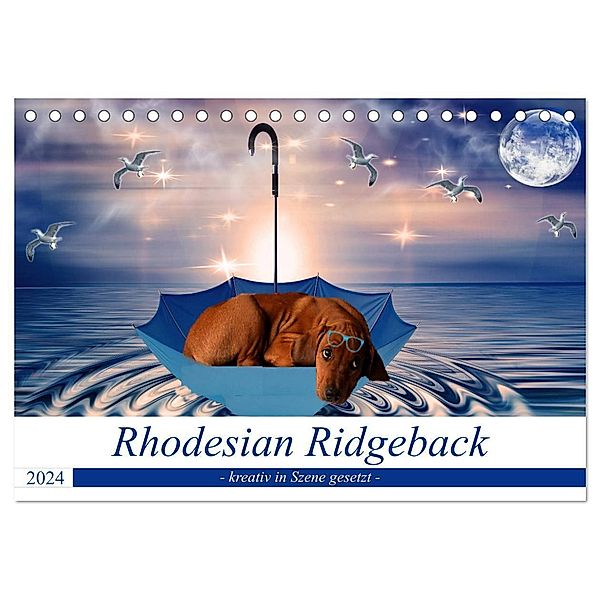 Rhodesian Ridgeback - kreativ in Szene gesetzt - (Tischkalender 2024 DIN A5 quer), CALVENDO Monatskalender, Dagmar Behrens