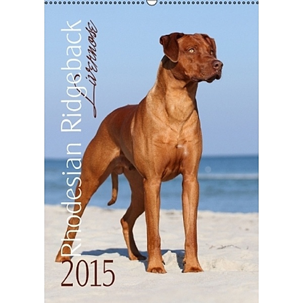 Rhodesian Ridgeback Livernose (Wandkalender 2015 DIN A2 hoch), JOHN N.Y. EDITON