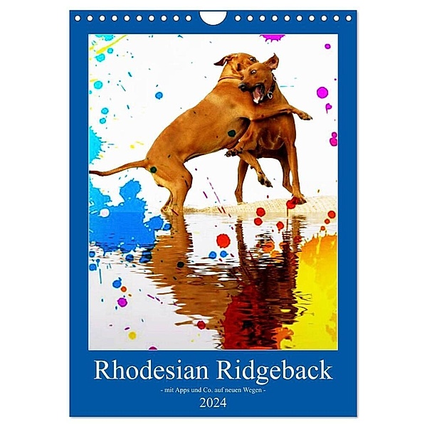Rhodesian Ridgeback - mit Apps und Co.auf neuen Wegen - (Wandkalender 2024 DIN A4 hoch), CALVENDO Monatskalender, Dagmar Behrens