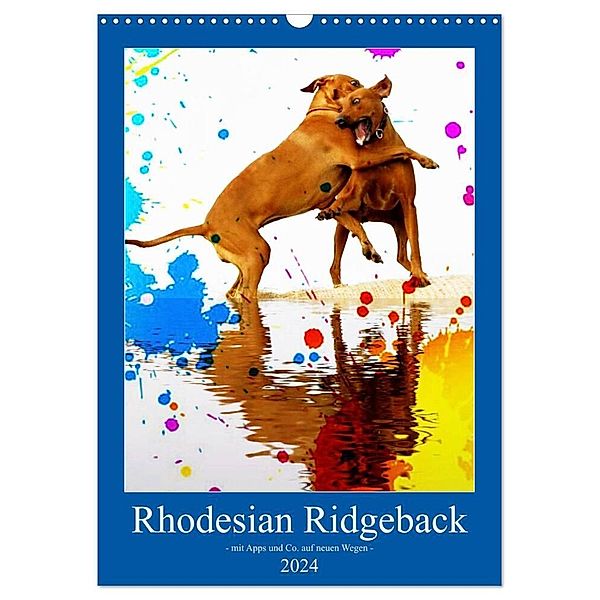 Rhodesian Ridgeback - mit Apps und Co.auf neuen Wegen - (Wandkalender 2024 DIN A3 hoch), CALVENDO Monatskalender, Dagmar Behrens