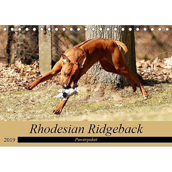Rhodesian Ridgeback Powerpaket (Tischkalender 2019 DIN A5 quer), Dagmar Behrens