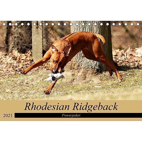 Rhodesian Ridgeback Powerpaket (Tischkalender 2021 DIN A5 quer), Dagmar Behrens