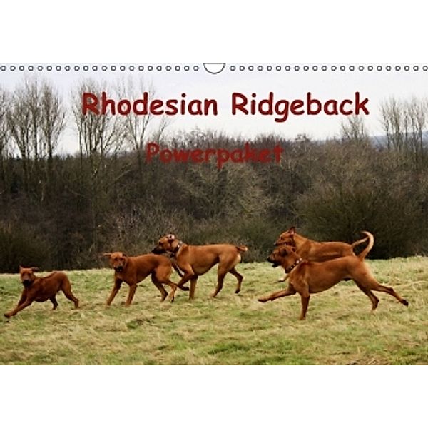 Rhodesian Ridgeback Powerpaket (Wandkalender 2016 DIN A3 quer), Dagamr Behrens