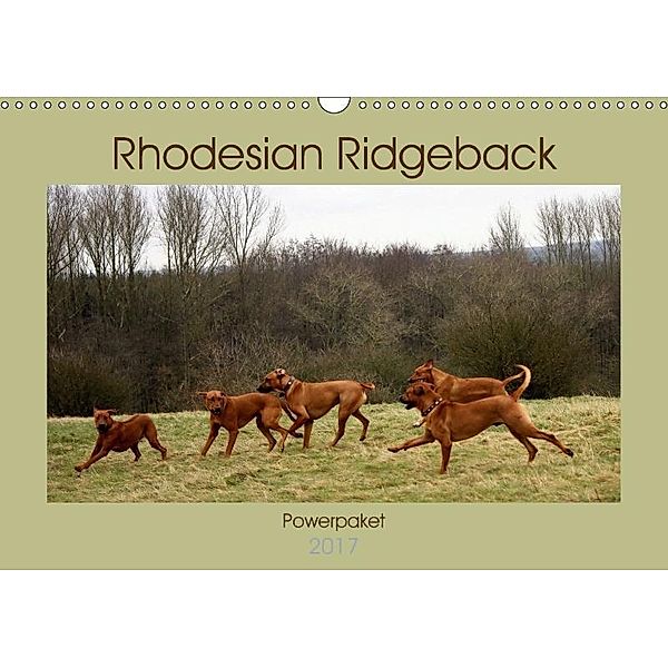 Rhodesian Ridgeback Powerpaket (Wandkalender 2017 DIN A3 quer), Dagmar Behrens