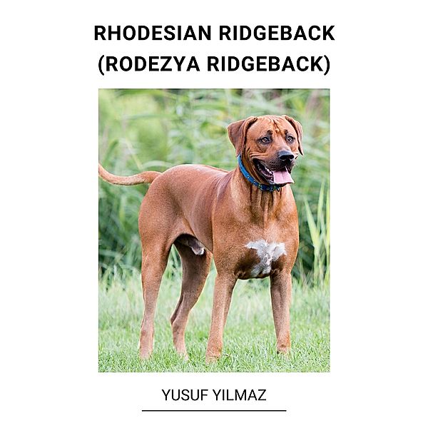 Rhodesian Ridgeback (Rodezya Ridgeback), Yusuf Yilmaz