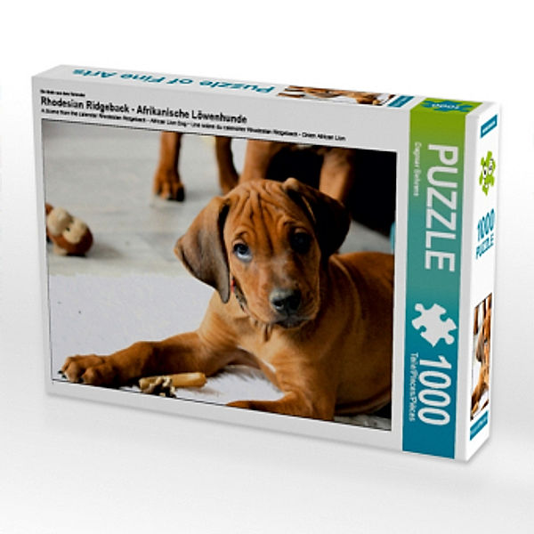 Rhodesian Ridgeback schau mir in die Augen, 1000 Teile, Dagmar Behrens