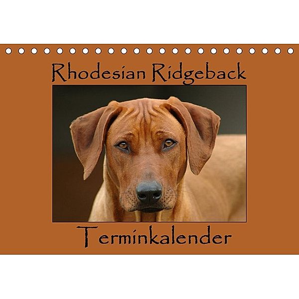 Rhodesian Ridgeback Terminkalender (Tischkalender 2020 DIN A5 quer), Anke van Wyk