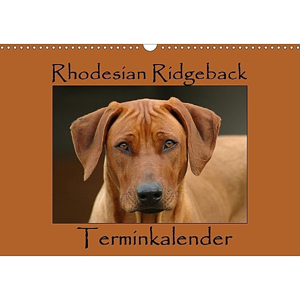 Rhodesian Ridgeback Terminkalender (Wandkalender 2020 DIN A3 quer), Anke van Wyk