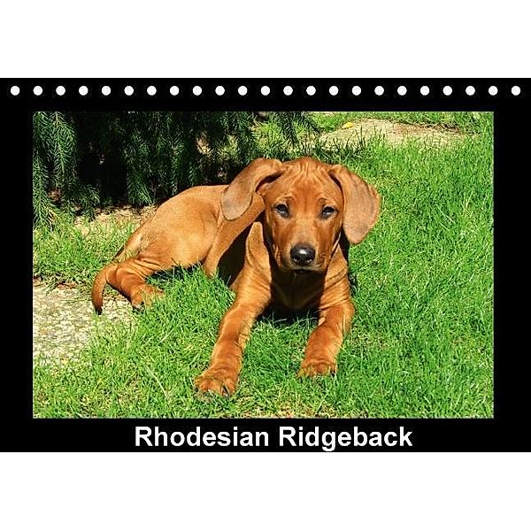 Rhodesian Ridgeback (Tischkalender 2014 DIN A5 quer), Petra Dagmar Behrens