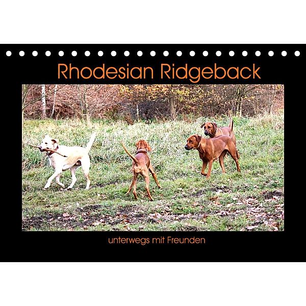 Rhodesian Ridgeback unterwegs mit Freunden (Tischkalender 2022 DIN A5 quer), Dagmar Behrens