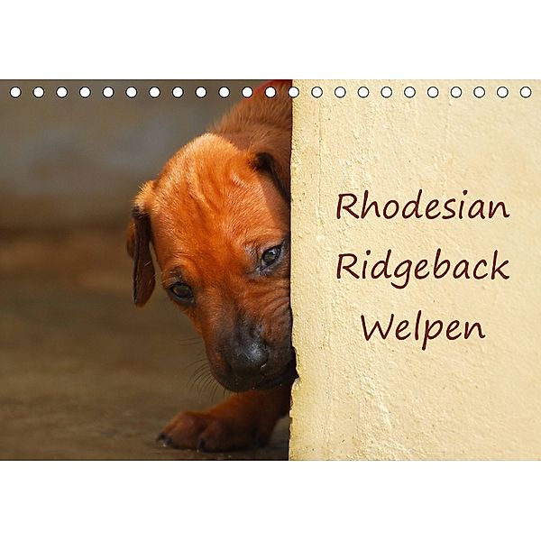 Rhodesian Ridgeback Welpen (Tischkalender 2018 DIN A5 quer), Anke van Wyk