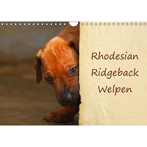 Rhodesian Ridgeback Welpen (Wandkalender 2016 DIN A4 quer), Anke van Wyk