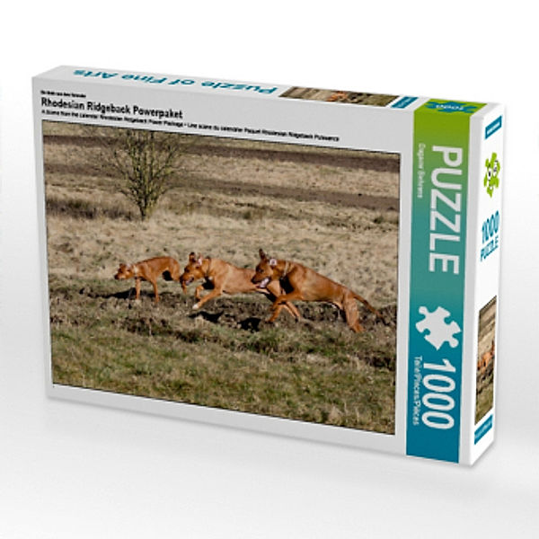 Rhodesian Ridgeback Wettrennen, 1000 Teile, Dagamr Behrens