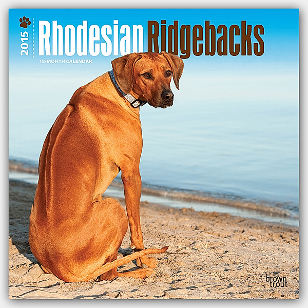 Rhodesian Ridgebacks, Broschürenkalender 2015