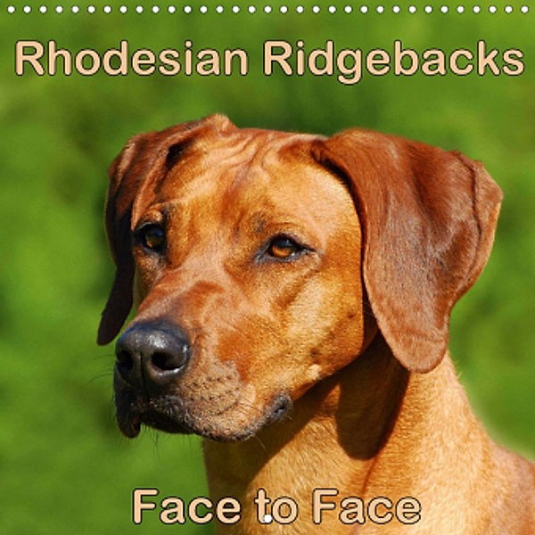 Rhodesian Ridgebacks Face to Face (Wall Calendar 2021 300 × 300 mm Square), Anke van Wyk - www.germanpix.net