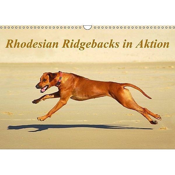 Rhodesian Ridgebacks in AktionAT-Version (Wandkalender 2018 DIN A3 quer), Anke van Wyk