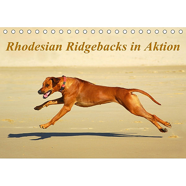 Rhodesian Ridgebacks in AktionAT-Version (Tischkalender 2019 DIN A5 quer), Anke van Wyk