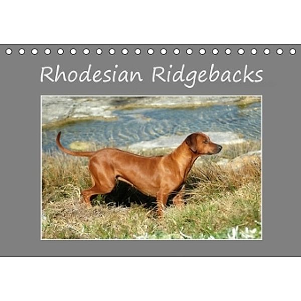 Rhodesian Ridgebacks (Tischkalender 2016 DIN A5 quer), Anke van Wyk
