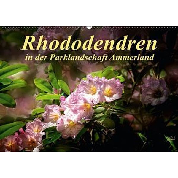 Rhododendren in der Parklandschaft Ammerland (Wandkalender 2015 DIN A2 quer)