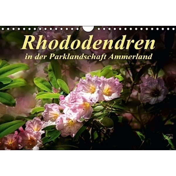 Rhododendren in der Parklandschaft Ammerland / Geburtstagskalender (Wandkalender 2016 DIN A4 quer), Peter Roder