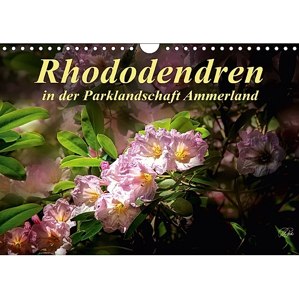 Rhododendren in der Parklandschaft Ammerland (Wandkalender 2018 DIN A4 quer), N N
