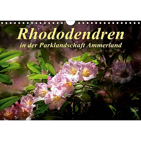Rhododendren in der Parklandschaft Ammerland / Geburtstagskalender (Wandkalender 2020 DIN A4 quer), Peter Roder