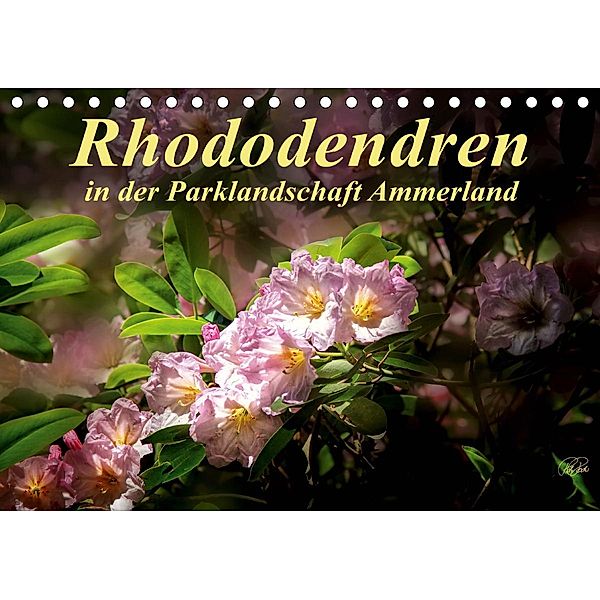 Rhododendren in der Parklandschaft Ammerland (Tischkalender 2021 DIN A5 quer), N N