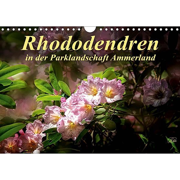 Rhododendren in der Parklandschaft Ammerland / Geburtstagskalender (Wandkalender 2021 DIN A4 quer), Peter Roder