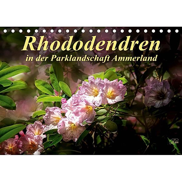 Rhododendren in der Parklandschaft Ammerland / Geburtstagskalender (Tischkalender 2021 DIN A5 quer), Peter Roder