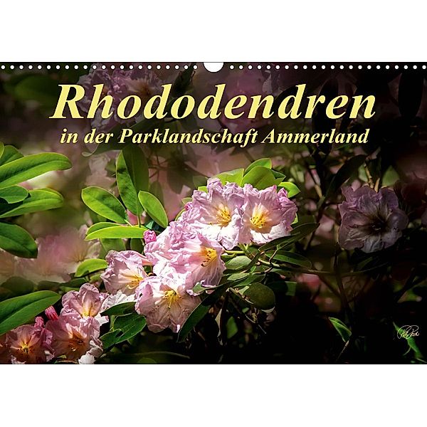 Rhododendren in der Parklandschaft Ammerland / Geburtstagskalender (Wandkalender 2021 DIN A3 quer), Peter Roder