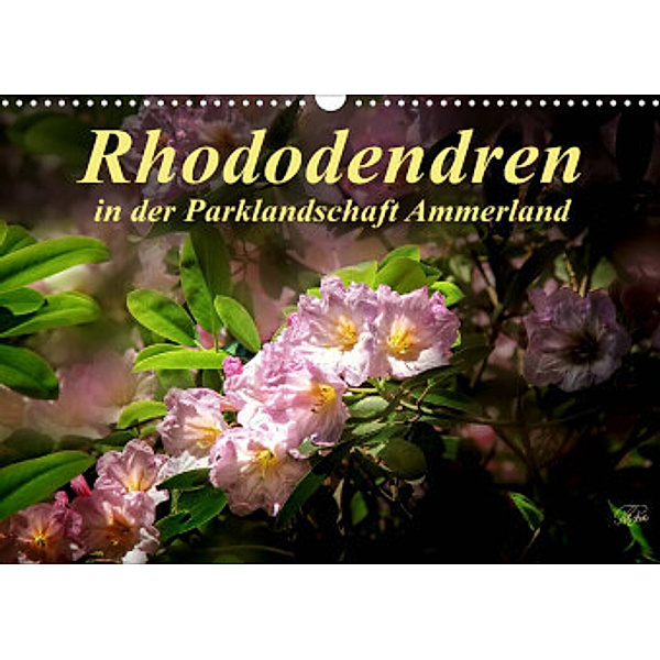 Rhododendren in der Parklandschaft Ammerland / Geburtstagskalender (Wandkalender 2022 DIN A3 quer), Peter Roder
