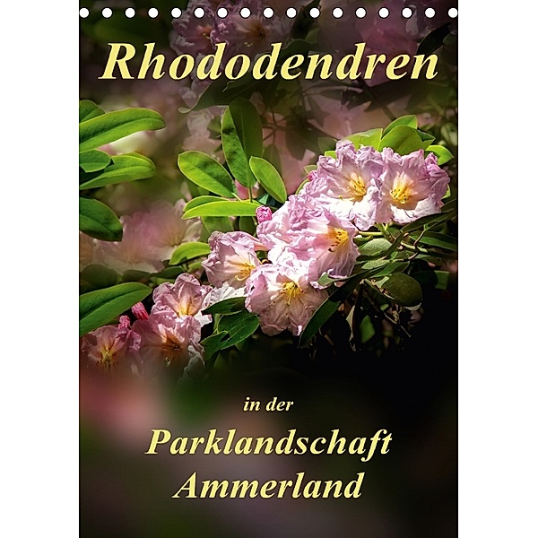 Rhododendren in der Parklandschaft Ammerland / Planer (Tischkalender 2018 DIN A5 hoch), Peter Roder
