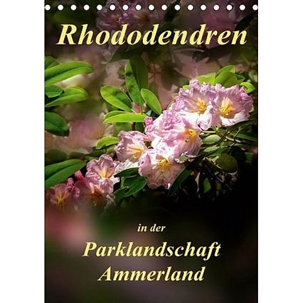 Rhododendren in der Parklandschaft Ammerland / Planer (Tischkalender 2020 DIN A5 hoch), Peter Roder